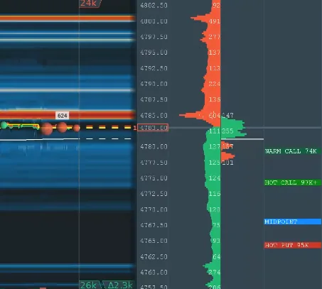 Options levels and gamma exposure on the Bookmap stream