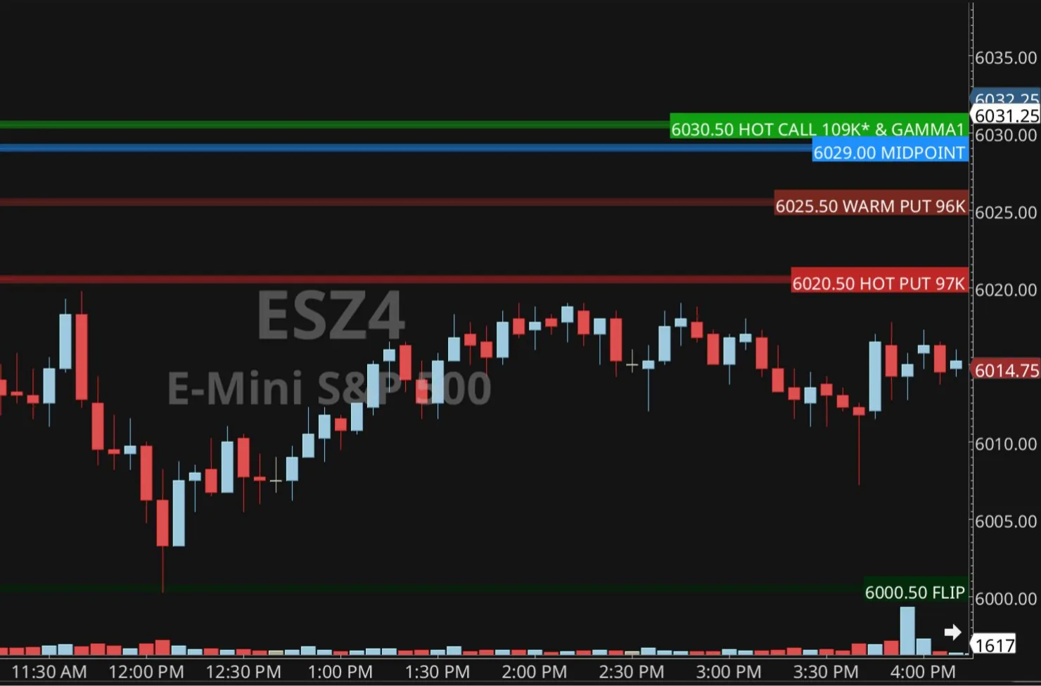The SPX Options Visualizer in Bookmap